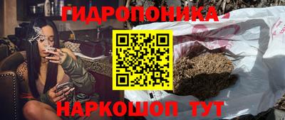 стаф Обнинск