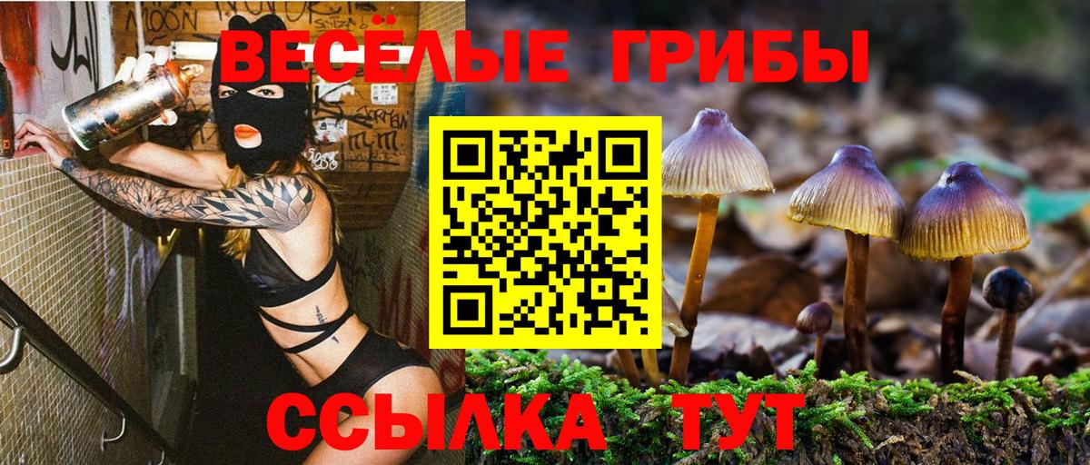 Псилоцибиновые грибы GOLDEN TEACHER  Вход с VPN  Полевской 